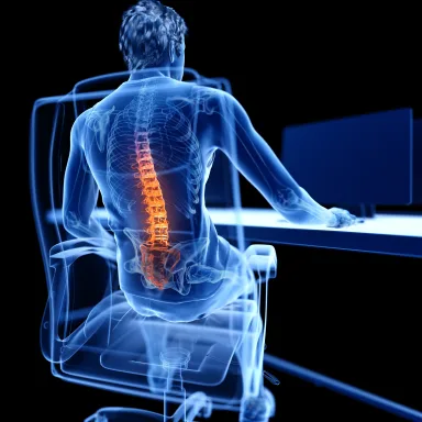 Anatomical illustration of the back & spine, with the painful joint highlighted