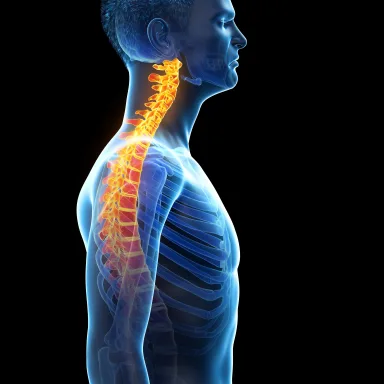 Anatomical illustration of the neck & jaw, with the painful joint highlighted